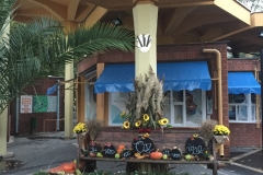 IMG-8752-1